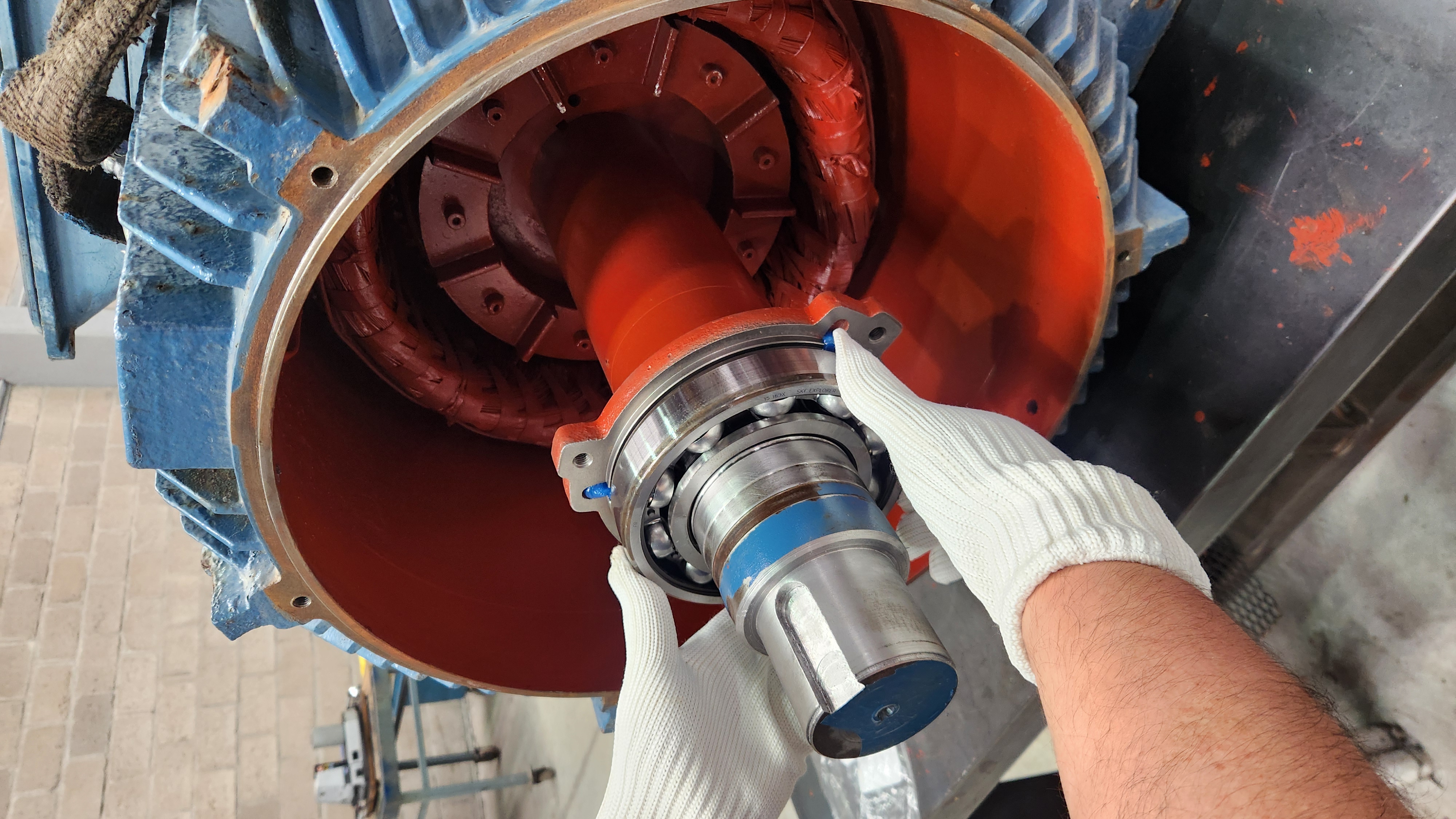 Servicios Especiales 2