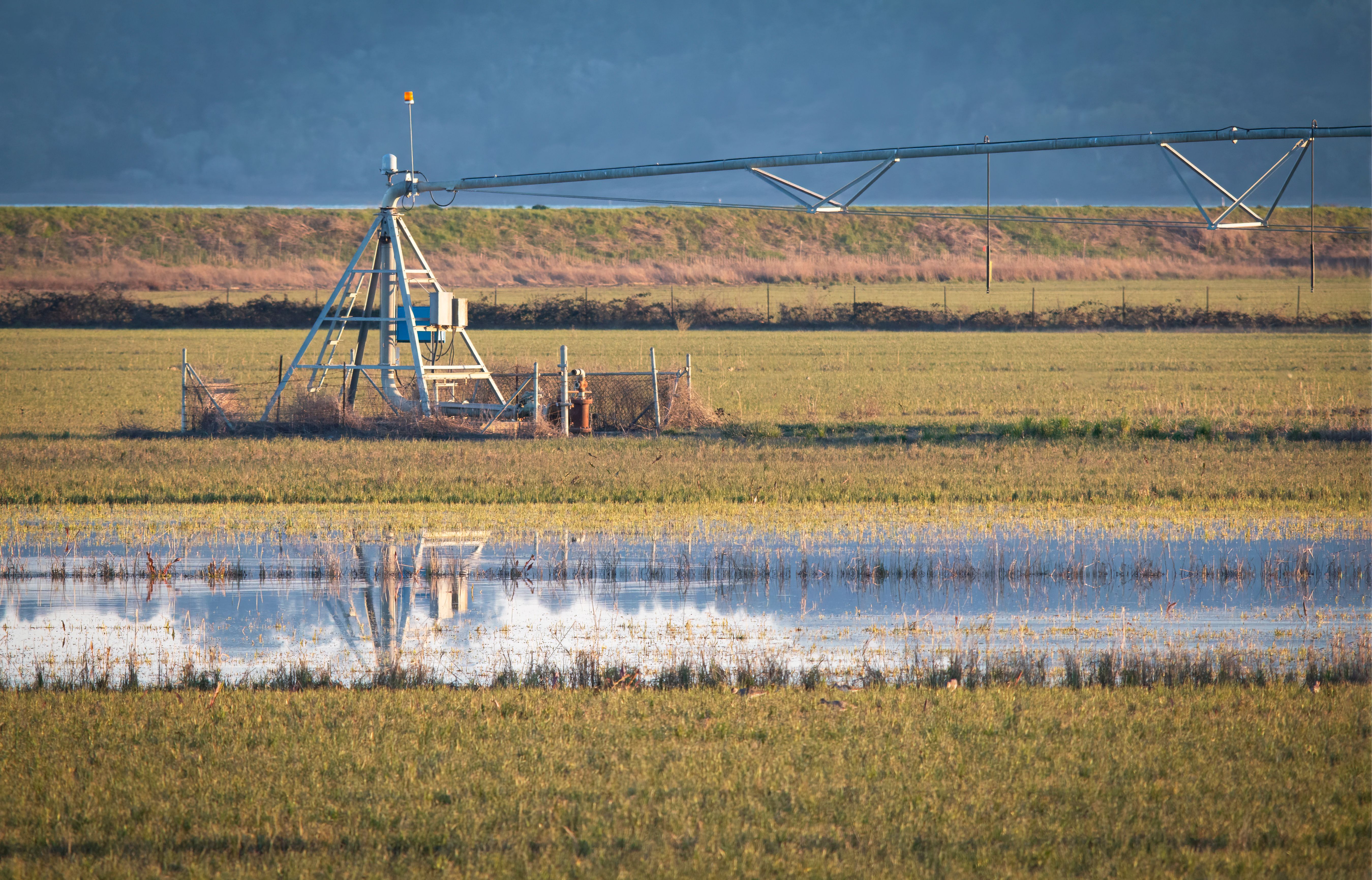 industria-agro.jpg